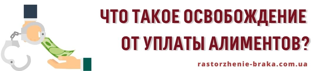 Что такое освобождение от уплаты алиментов? Что такое освобождение от уплаты алиментов?