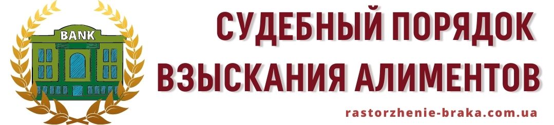 Судебный порядок взыскания алиментов
