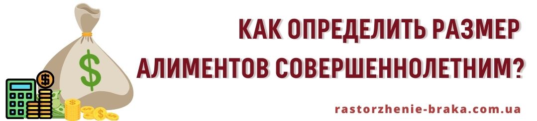 Как определить размер алиментов совершеннолетним?