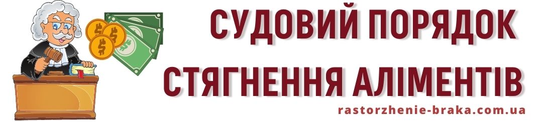 Судовий порядок стягнення аліментів
