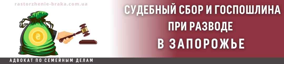 Судебный сбор и госпошлина при разводе в Запорожье