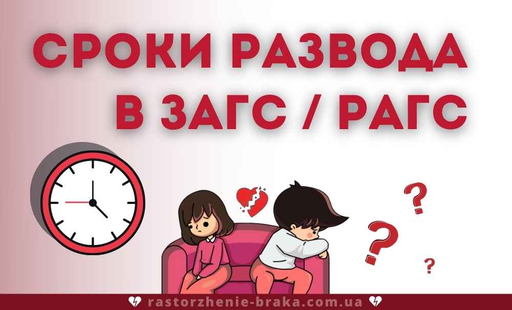 Сроки развода в ЗАГС / РАГС